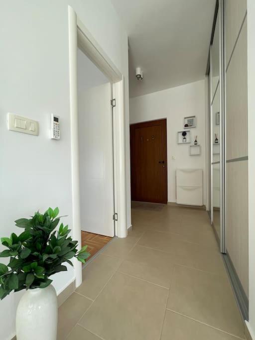 Acacia Hill Apartments ヘルツェグ・ノヴィ エクステリア 写真