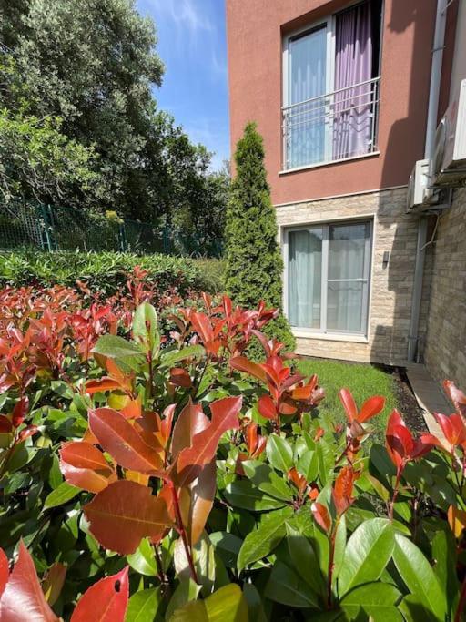 Acacia Hill Apartments ヘルツェグ・ノヴィ エクステリア 写真